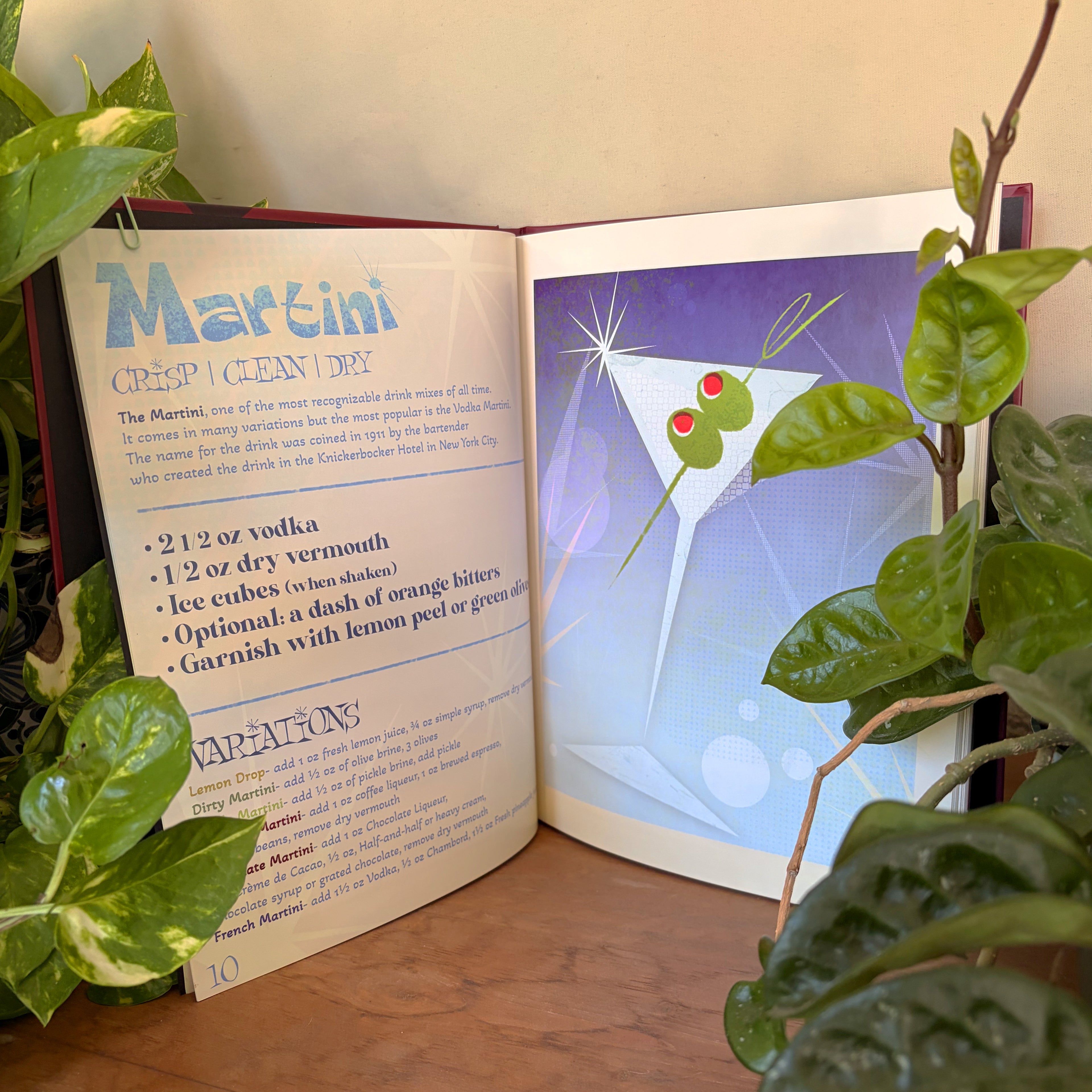 The Art of the Cocktail Book